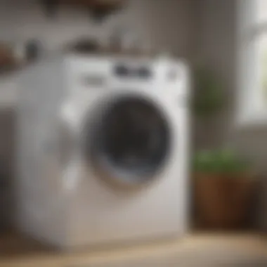 High-Efficiency Tumble Dryer Technology High-efficiency tumble dryer showcasing advanced technology