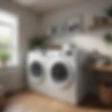 Tumble Dryer Pricing Trends Infographic Infographic detailing tumble dryer pricing trends