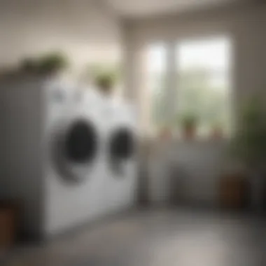 Diverse Tumble Dryer Features Comparison A variety of tumble dryers with distinct features