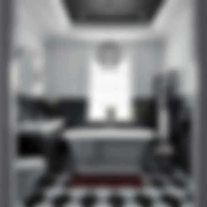 Chic monochrome bathroom with striking black and white contrast