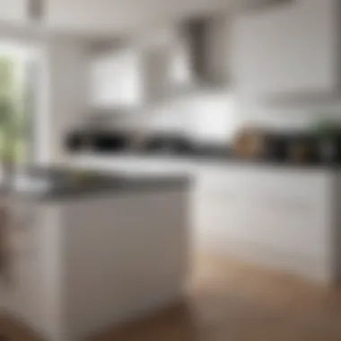 Complementary kitchen design showcasing white and dark elements