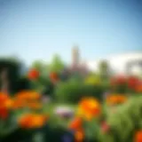 Vibrant garden with diverse plants and flowers