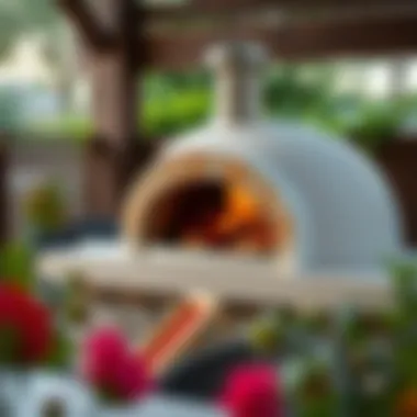 Notable Exploring Optimal Outdoor Pizza Ovens Notable Exploring Optimal Outdoor Pizza Ovens