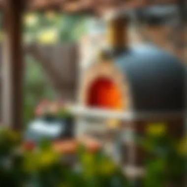 Exploring Optimal Outdoor Pizza Ovens Summary Exploring Optimal Outdoor Pizza Ovens Summary