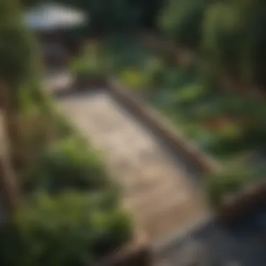 Efficient Layouts for Limited Gardening Spaces Layout plan showcasing various raised garden bed layouts in limited spaces