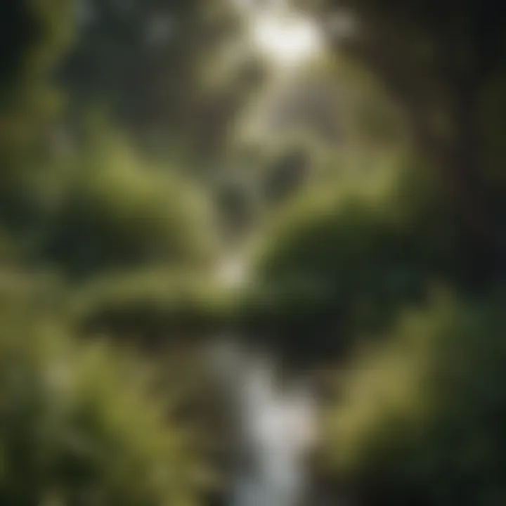 Garden landscape featuring various wetland shrubs