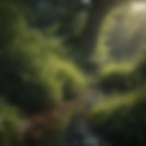 Vibrant wetland shrub showcasing lush foliage