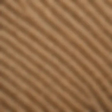 Natural Texture of Sisal Mat Close-up of the natural texture and fibers of a sisal bath mat