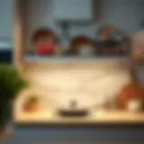 Elegant skillet lid organizer in a modern kitchen