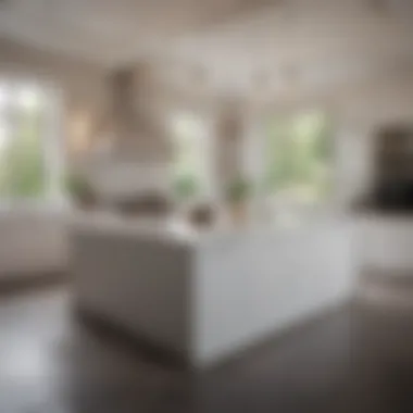 Elegance in Kitchen Space An expansive kitchen featuring a sleek island and modern appliances, emphasizing open space and elegance.