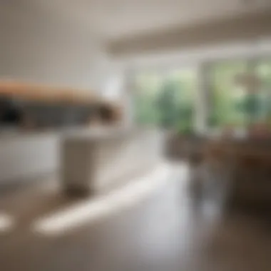 Embracing Light and Functionality A sophisticated kitchen layout incorporating natural light and innovative storage solutions, showcasing versatility.