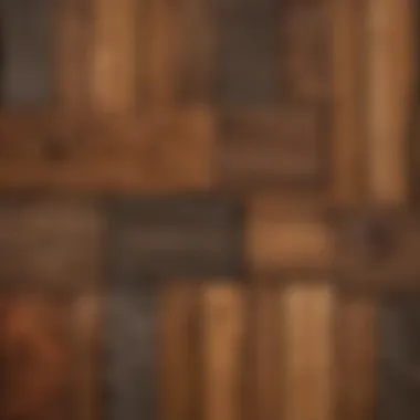 Diverse Wood Textures Different wood types displayed with distinct textures and colors
