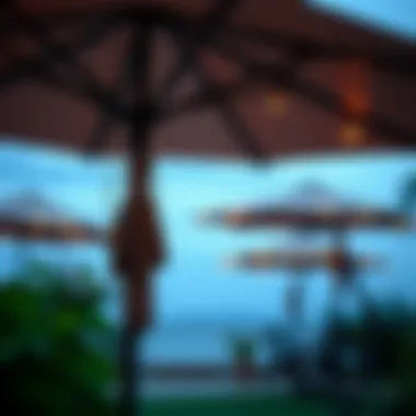 Maintenance tips for patio umbrellas illustrated with care products