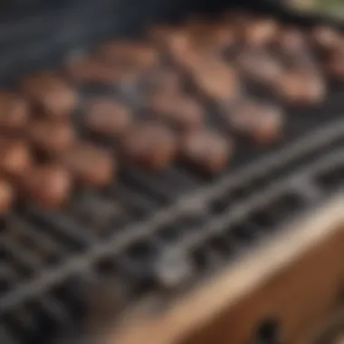 Detailed View of Barbecue Grill Features A close-up of various barbecue grill features including knobs and grates, reflecting quality craftsmanship