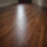 Beautifully refinished hardwood floor showcasing enhanced shine and texture