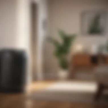 Benefits of HEPA Air Purifiers Infographic displaying benefits of using HEPA air purifiers