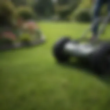 Effective Maintenance Techniques for Lawn Restoration Maintenance practices for a vibrant lawn