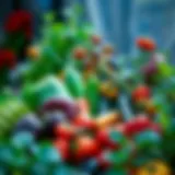 Vibrant array of container-grown vegetables showcasing diverse varieties.