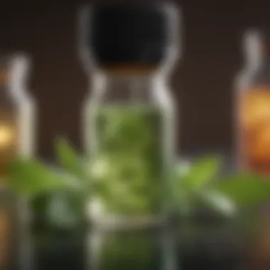 Mechanisms of Peppermint Oil An infographic illustrating the mechanisms of peppermint oil in disrupting pest behavior.