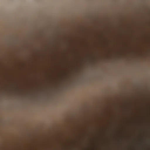 Close-up view of Donghia fabric showcasing intricate patterns and textures