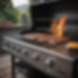 High-quality BBQ grill showcasing stainless steel construction and innovative design