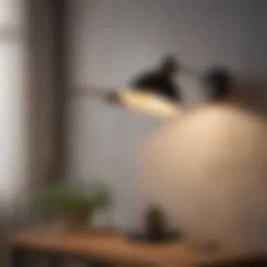 Artistic Wall Task Lamp Enhancing Decor Artistic wall task lamp enhancing a decorative wall feature