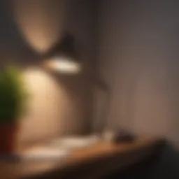 Elegant wall task lamp illuminating a cozy reading nook