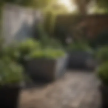 An aesthetically pleasing garden featuring strategically placed planting tubs.