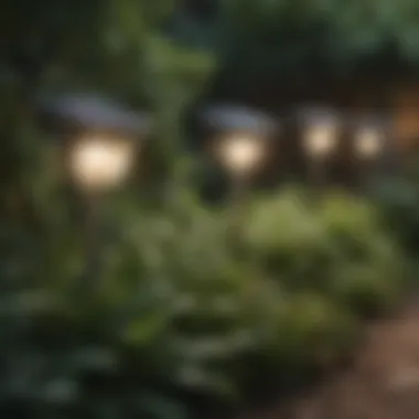 Sustainable Illumination: Solar-Powered Yard Lights Close-up of eco-friendly solar yard lights in a landscaped garden
