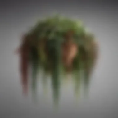 A stunning array of unusual hanging plants showcasing diverse shapes and colors.