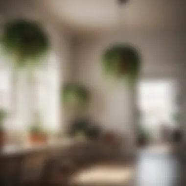 A minimalist living space adorned with unique hanging plants enhancing the interior design.