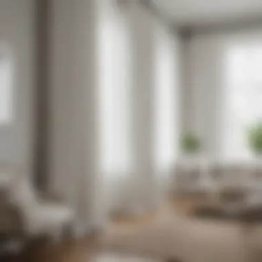 Diverse Styles of Fancy White Curtains Diverse styles of fancy white curtains displayed in a chic interior