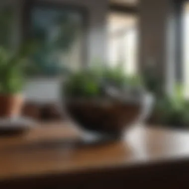 An interior space featuring natural elements like plants and crystals to enhance positive energy.