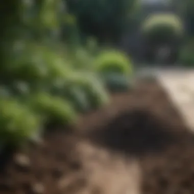 A lush garden with organic fertilizer being applied