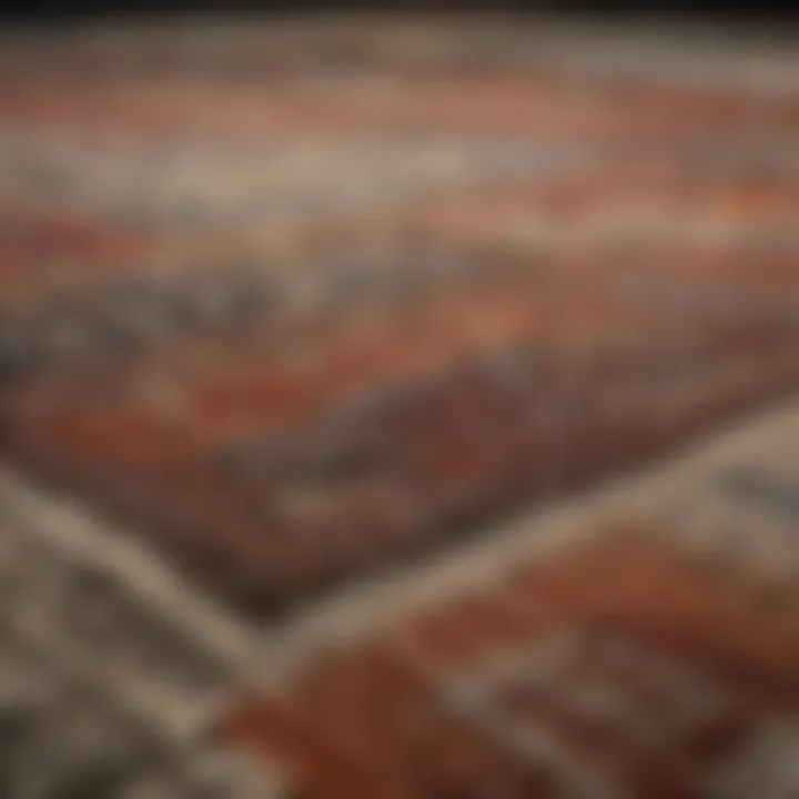 Close-up of various rug textures and patterns available for budget-conscious shoppers