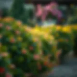 A vibrant garden showcasing flowing bushes in full bloom