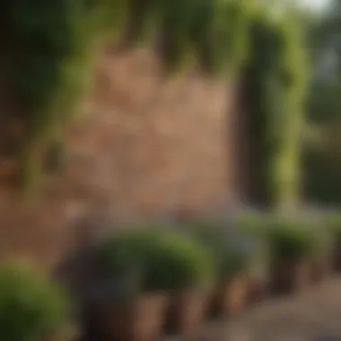 Decorative Rustic Brick Garden Wall Rustic brick wall adorned with decorative elements