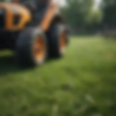 A comparison of different types of grass seeders available