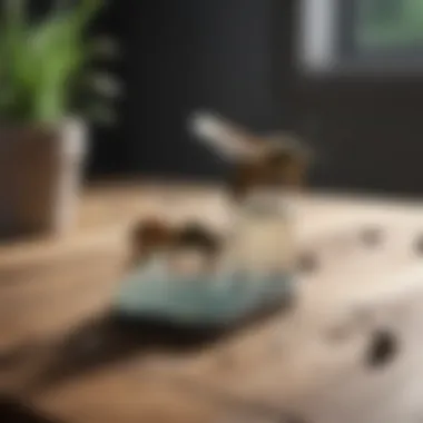 Effective Natural Repellents Natural repellents for wasps displayed on a table