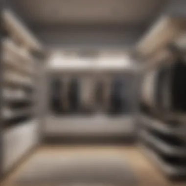 Minimalist Closet Design Minimalist closet with open shelving