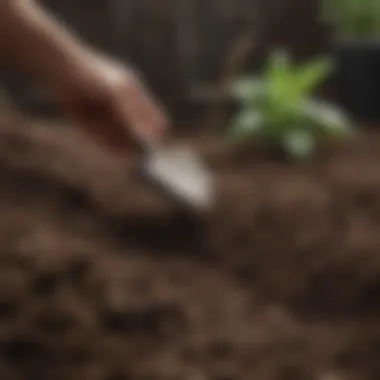 Close-up of healthy soil with a trowel