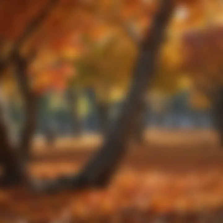 Colorful autumn leaves displaying shades associated with specific fruit trees