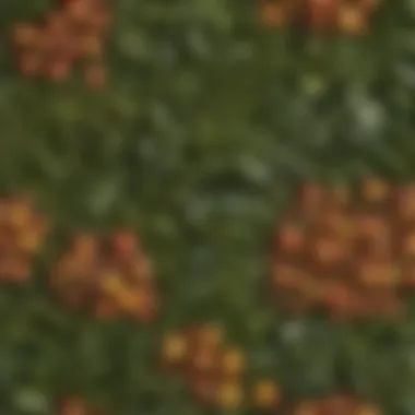 Comparative Textures of Leaves from Different Fruit Tree Species Texture differences among leaves from various fruit tree species