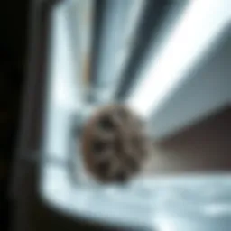 Clogged dryer vent indicating need for cleaning