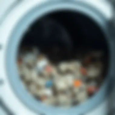 Debris in Dryer Lint Trap Dryer lint trap filled with debris