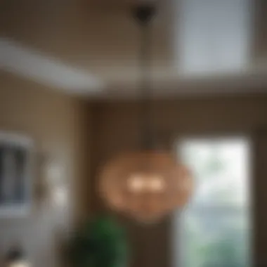 Artistic Light Fixture in Home Decor Artistic hanging light fixture enhancing home decor