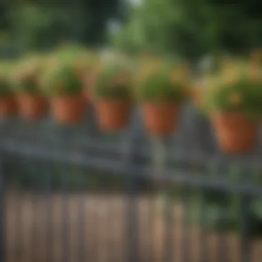 A close-up of thoughtfully arranged hanging pots on a metal fence