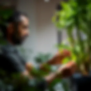Person examining plant health and growth conditions