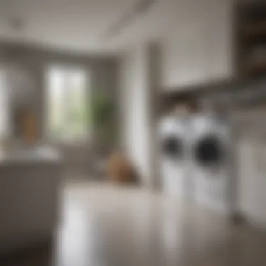 Luxury Meets Functionality in Laundry Design Luxurious laundry area with elegant design elements and practical features