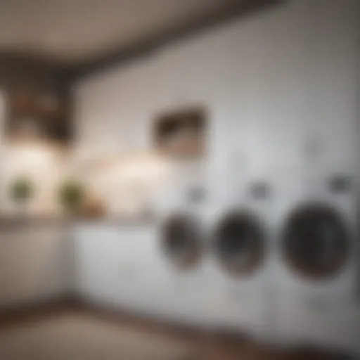 Stylish built-in cabinetry that maximizes laundry space efficiency